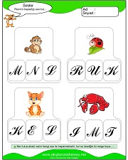 Resmin Başladığı Sesi Bul